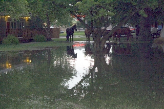And the rains came
